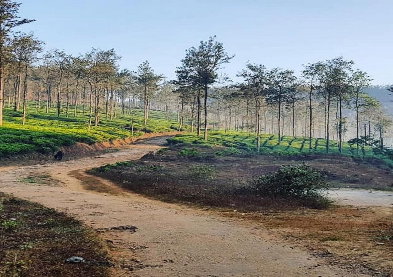 Glad Valley Wayanad By Lexstays-Tea Estate Villa Extérieur photo