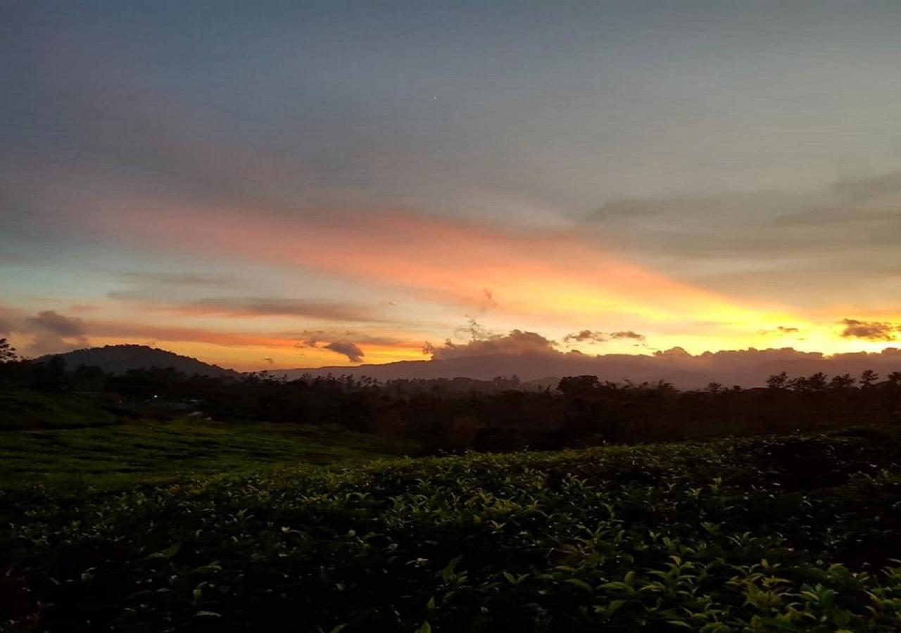 Glad Valley Wayanad By Lexstays-Tea Estate Villa Extérieur photo